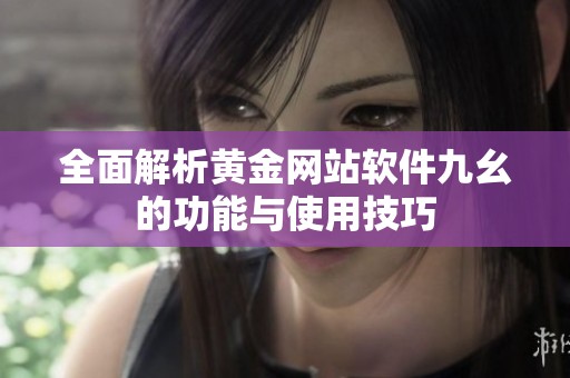 全面解析黄金网站软件九幺的功能与使用技巧