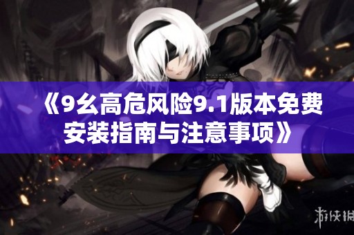 《9幺高危风险9.1版本免费安装指南与注意事项》