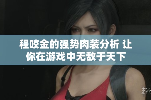 程咬金的强势肉装分析 让你在游戏中无敌于天下