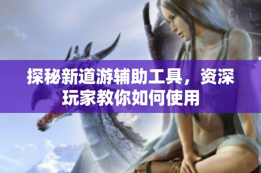 探秘新道游辅助工具，资深玩家教你如何使用