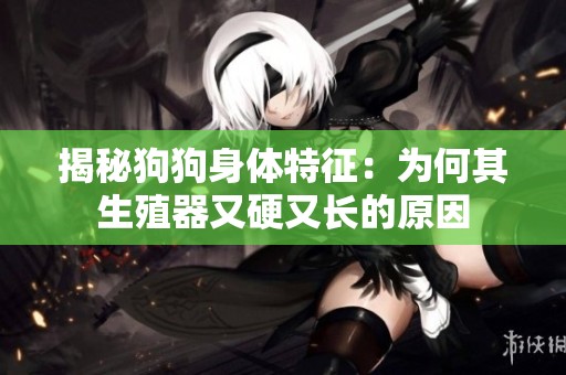 揭秘狗狗身体特征：为何其生殖器又硬又长的原因