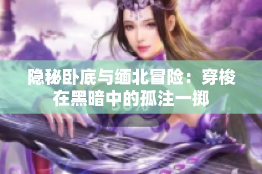 隐秘卧底与缅北冒险：穿梭在黑暗中的孤注一掷