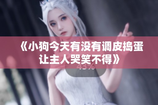 《小狗今天有没有调皮捣蛋让主人哭笑不得》