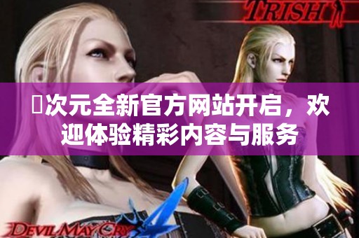 囧次元全新官方网站开启，欢迎体验精彩内容与服务