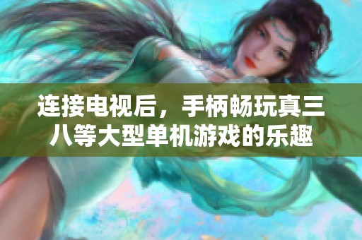 连接电视后，手柄畅玩真三八等大型单机游戏的乐趣