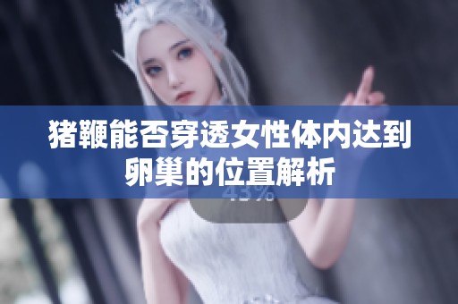 猪鞭能否穿透女性体内达到卵巢的位置解析