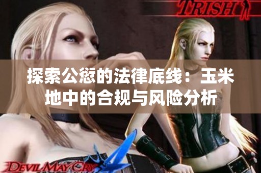 探索公愆的法律底线：玉米地中的合规与风险分析