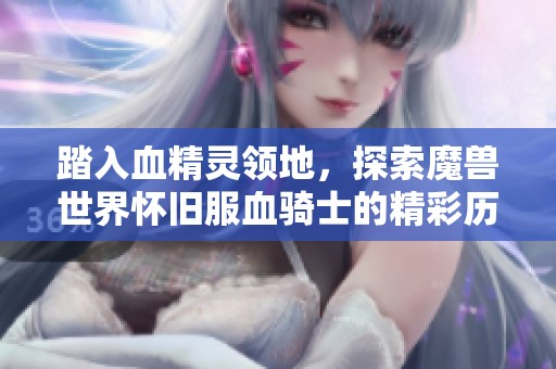 踏入血精灵领地，探索魔兽世界怀旧服血骑士的精彩历程
