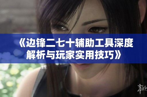 《边锋二七十辅助工具深度解析与玩家实用技巧》