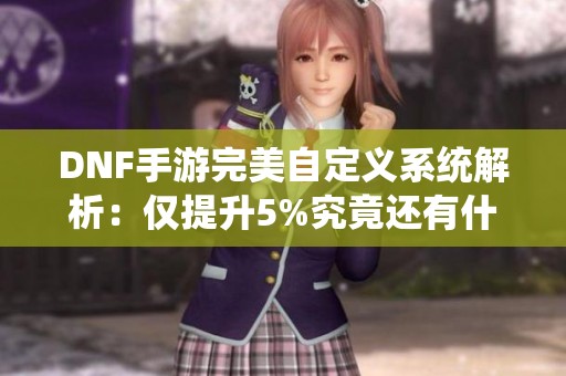 DNF手游完美自定义系统解析：仅提升5%究竟还有什么乐趣