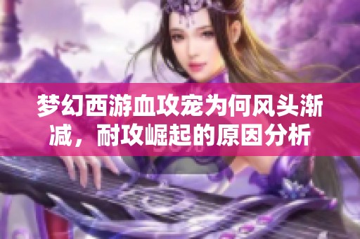 梦幻西游血攻宠为何风头渐减，耐攻崛起的原因分析