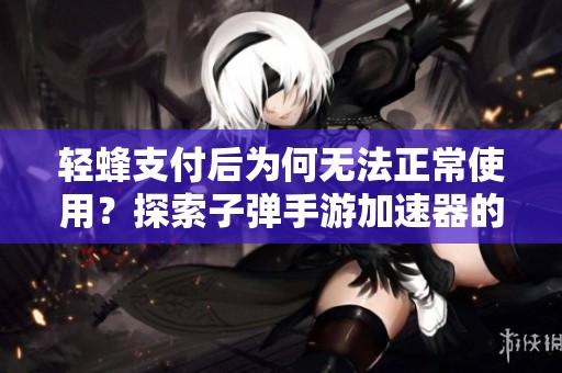 轻蜂支付后为何无法正常使用？探索子弹手游加速器的外网问题