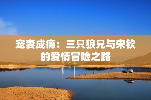 宠妻成瘾：三只狼兄与宋钦的爱情冒险之路