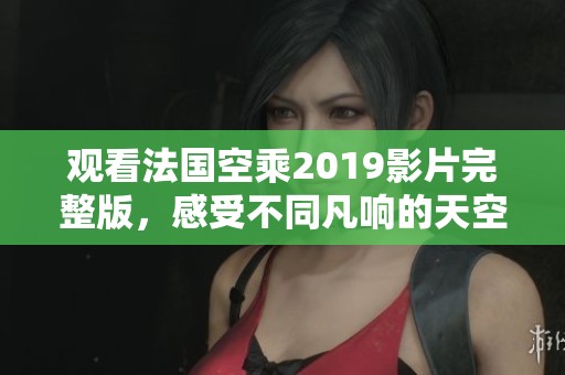 观看法国空乘2019影片完整版，感受不同凡响的天空服务魅力