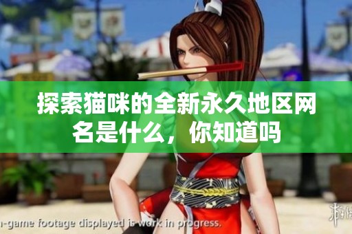 探索猫咪的全新永久地区网名是什么，你知道吗