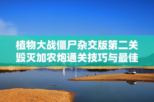 植物大战僵尸杂交版第二关毁灭加农炮通关技巧与最佳策略分享