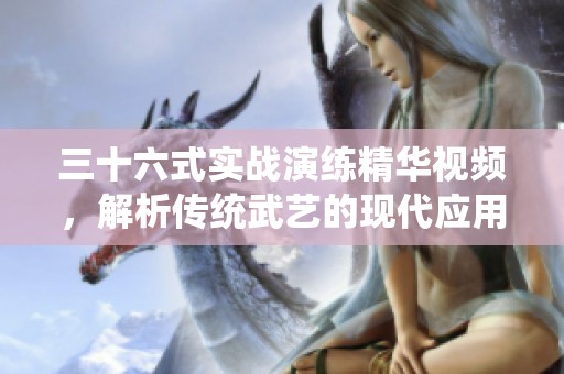 三十六式实战演练精华视频，解析传统武艺的现代应用