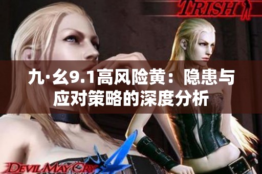 九·幺9.1高风险黄：隐患与应对策略的深度分析