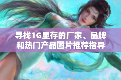 寻找1G显存的厂家、品牌和热门产品图片推荐指导