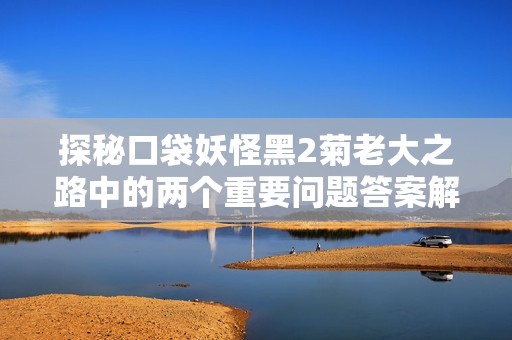 探秘口袋妖怪黑2菊老大之路中的两个重要问题答案解析