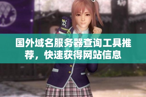 国外域名服务器查询工具推荐，快速获得网站信息