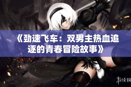 《劲速飞车：双男主热血追逐的青春冒险故事》