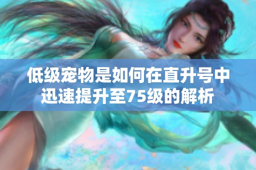低级宠物是如何在直升号中迅速提升至75级的解析