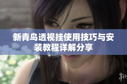 新青鸟透视挂使用技巧与安装教程详解分享
