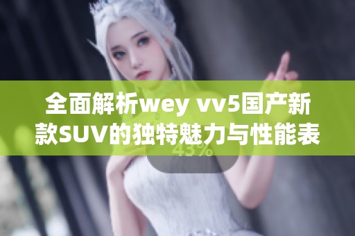 全面解析wey vv5国产新款SUV的独特魅力与性能表现