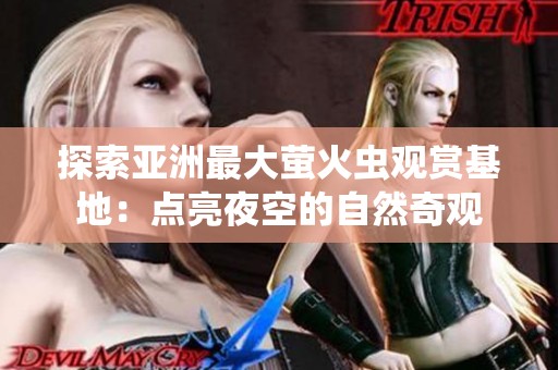 探索亚洲最大萤火虫观赏基地：点亮夜空的自然奇观