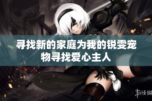 寻找新的家庭为我的锐雯宠物寻找爱心主人