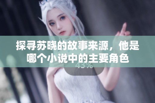 探寻苏晓的故事来源，他是哪个小说中的主要角色