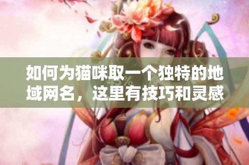 如何为猫咪取一个独特的地域网名，这里有技巧和灵感分享