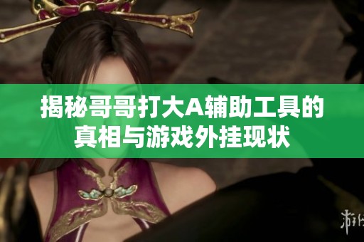 揭秘哥哥打大A辅助工具的真相与游戏外挂现状