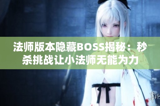 法师版本隐藏BOSS揭秘：秒杀挑战让小法师无能为力
