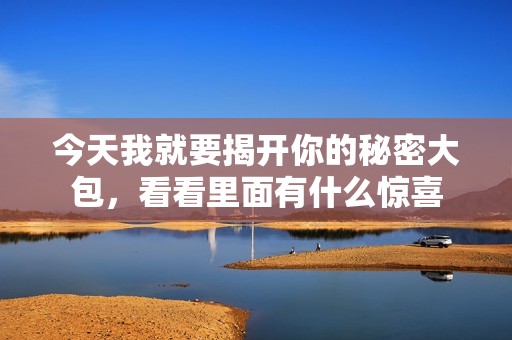 今天我就要揭开你的秘密大包，看看里面有什么惊喜