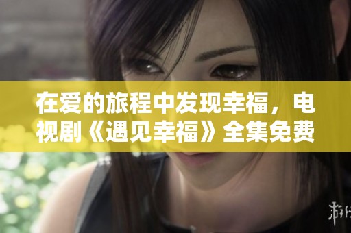 在爱的旅程中发现幸福，电视剧《遇见幸福》全集免费看