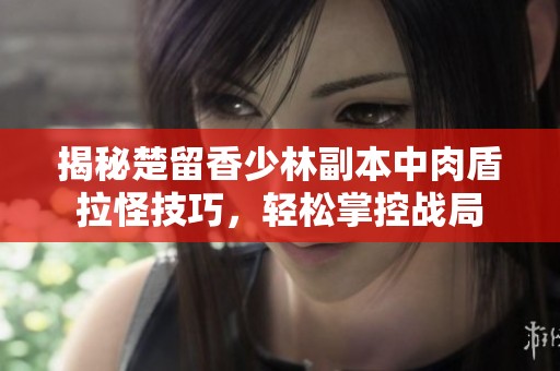 揭秘楚留香少林副本中肉盾拉怪技巧，轻松掌控战局