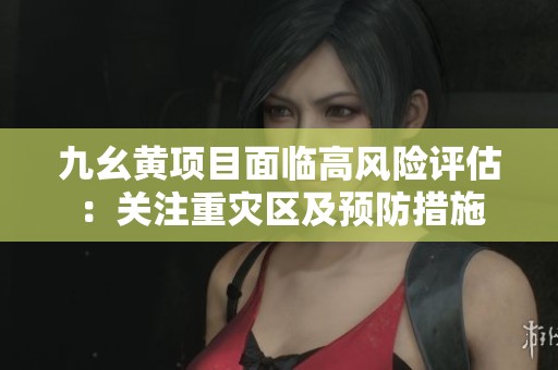 九幺黄项目面临高风险评估：关注重灾区及预防措施