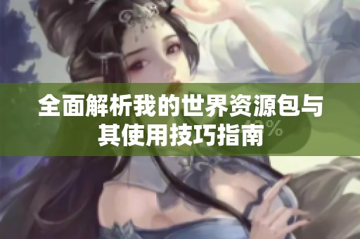 全面解析我的世界资源包与其使用技巧指南