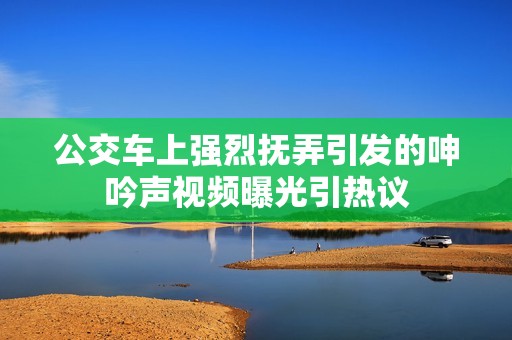 公交车上强烈抚弄引发的呻吟声视频曝光引热议