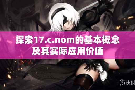探索17.c.nom的基本概念及其实际应用价值