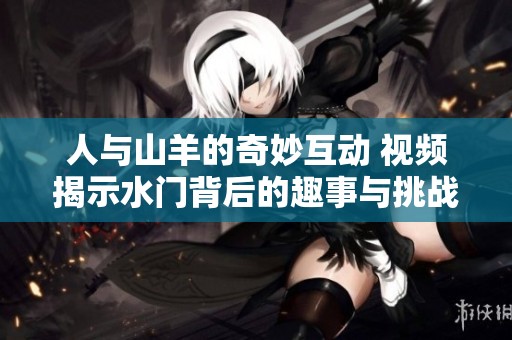 人与山羊的奇妙互动 视频揭示水门背后的趣事与挑战
