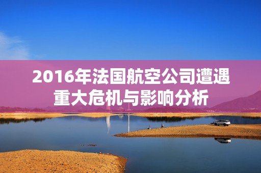 2016年法国航空公司遭遇重大危机与影响分析