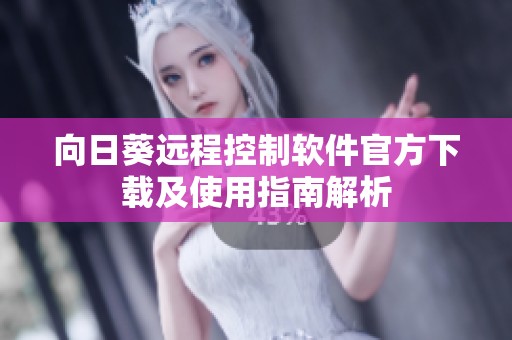 向日葵远程控制软件官方下载及使用指南解析