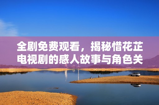 全剧免费观看，揭秘惜花芷电视剧的感人故事与角色关系