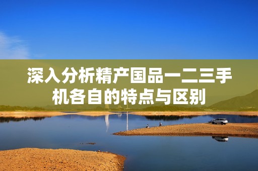 深入分析精产国品一二三手机各自的特点与区别