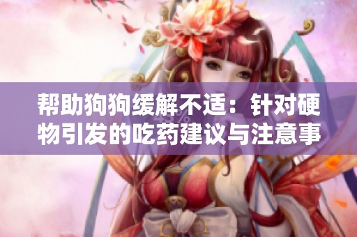 帮助狗狗缓解不适：针对硬物引发的吃药建议与注意事项