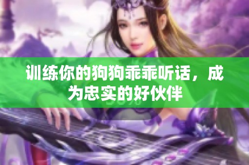 训练你的狗狗乖乖听话，成为忠实的好伙伴