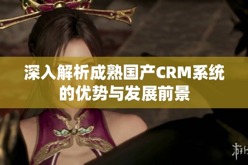 深入解析成熟国产CRM系统的优势与发展前景